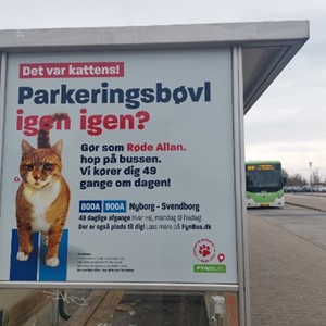 Styrket busbetjening p stfyn bliver promoveret med kattepoter